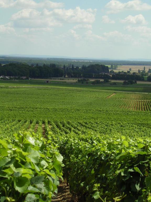 Hotel L'Oree Des Vignes Жийи-ле-Сито Экстерьер фото